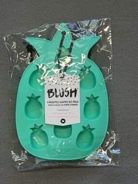 Blush Kids Pineapple Silicone Ice Mold - Teal Green